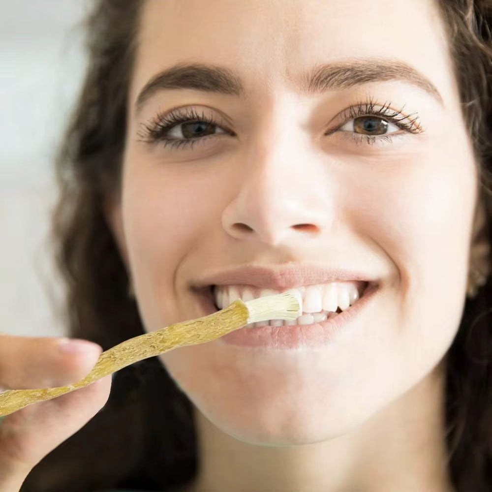 Natural Toothbrush Miswak Portable Travel Toothbrush Traditional Toothbrush Stick Made of Tree Branches Creative Man Gift