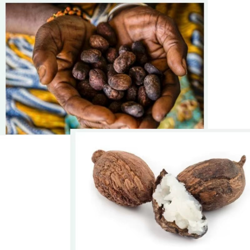Shea Butter Oil 100G Organic Unrefined, Moisturizing Nourishing Softening Body Oil Skin Streaming Products
