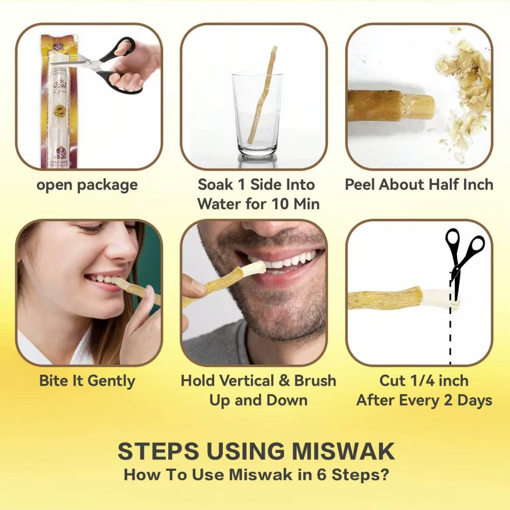 Natural Toothbrush Miswak Portable Travel Toothbrush Traditional Toothbrush Stick Made of Tree Branches Creative Man Gift