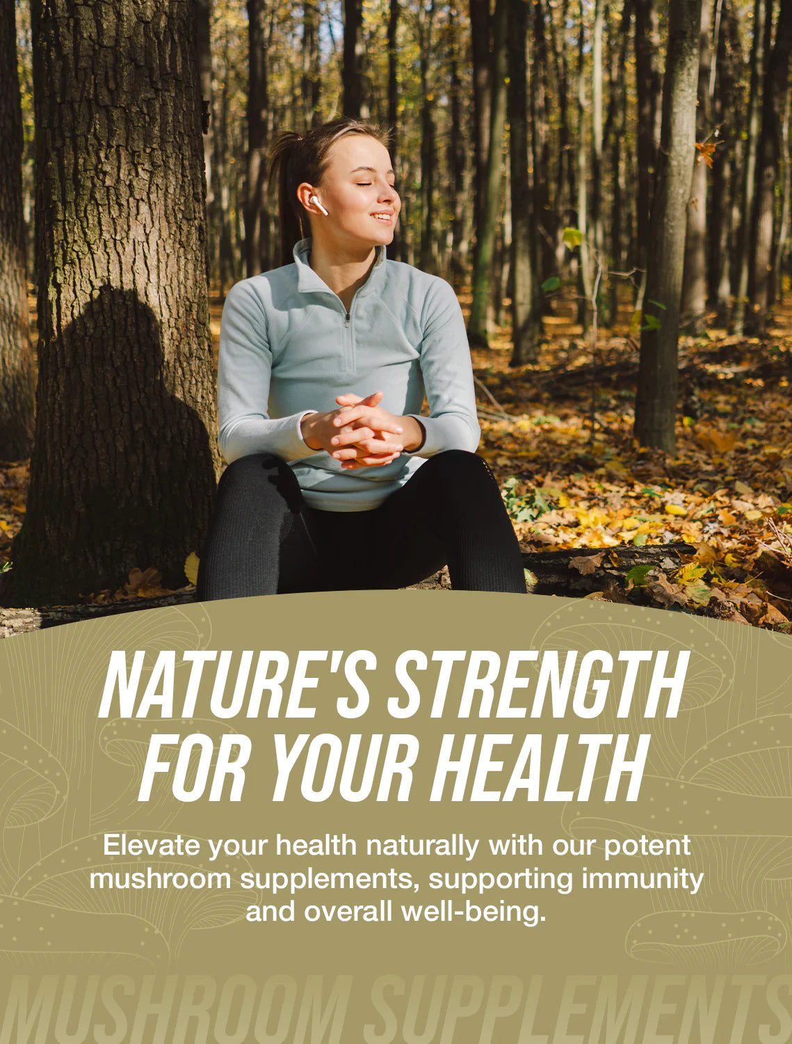 Organic Lion'S Mane Mushroom Extract Powder