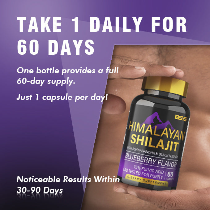 BSYS SHILAJIT GUMMIES (x60 Gummies)