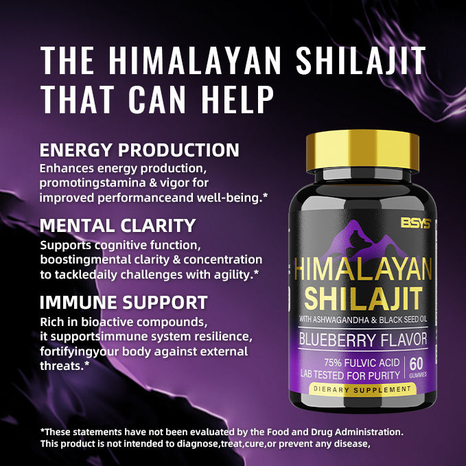 BSYS SHILAJIT GUMMIES (x60 Gummies)