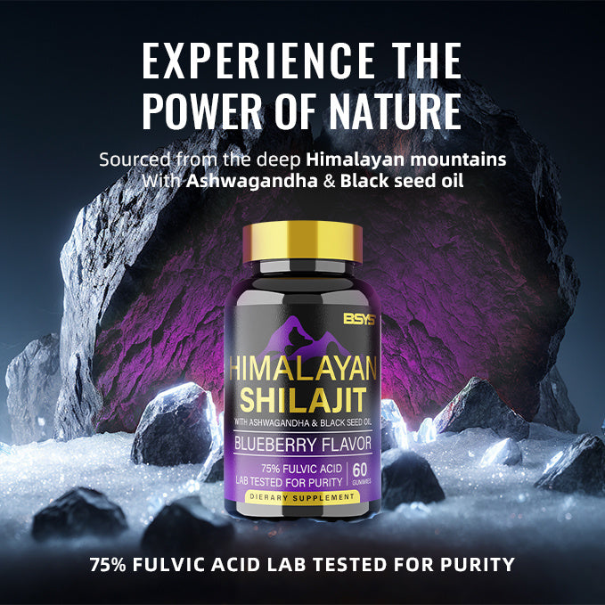 BSYS SHILAJIT GUMMIES (x60 Gummies)