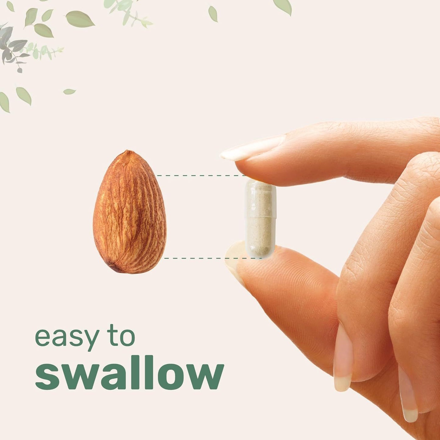 Lion Mane Capsule Refined Sulfur Phosphorus