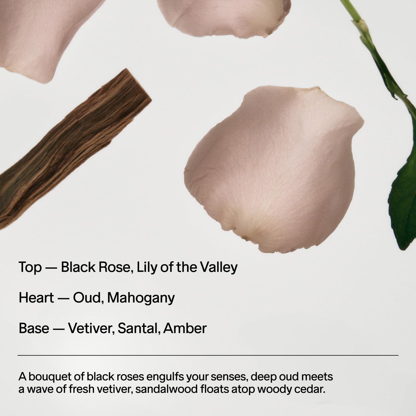 Seaweed Deodorant 75ml Natural For Men And Women